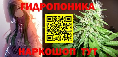 гидропоника Кимры