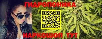 кокс Кинель