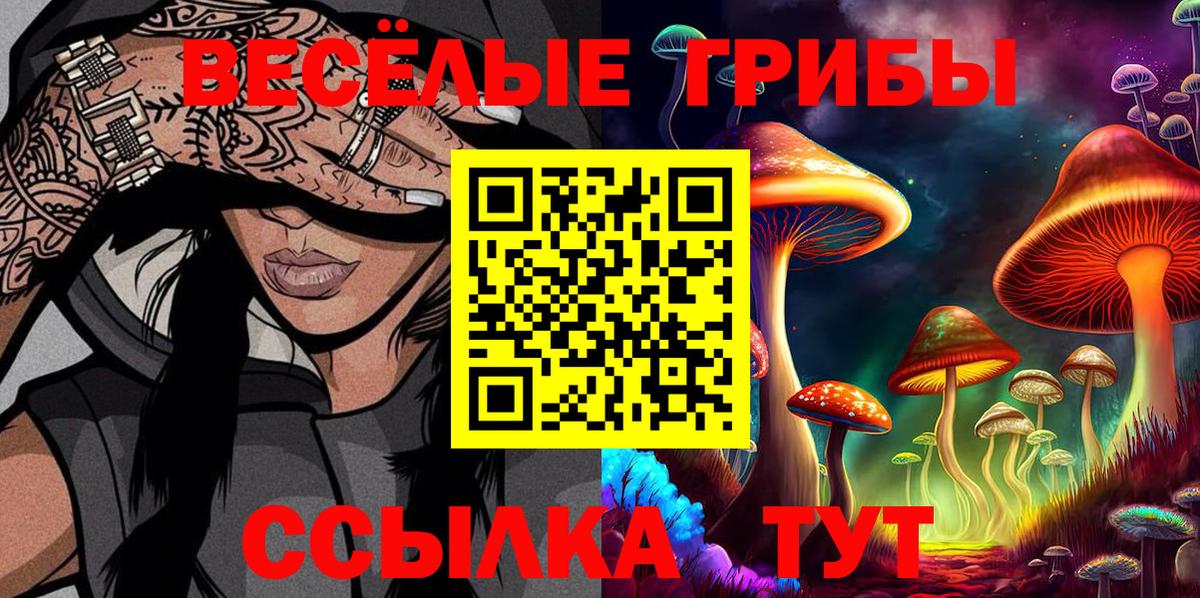 Псилоцибиновые грибы Psilocybine cubensis Холмск